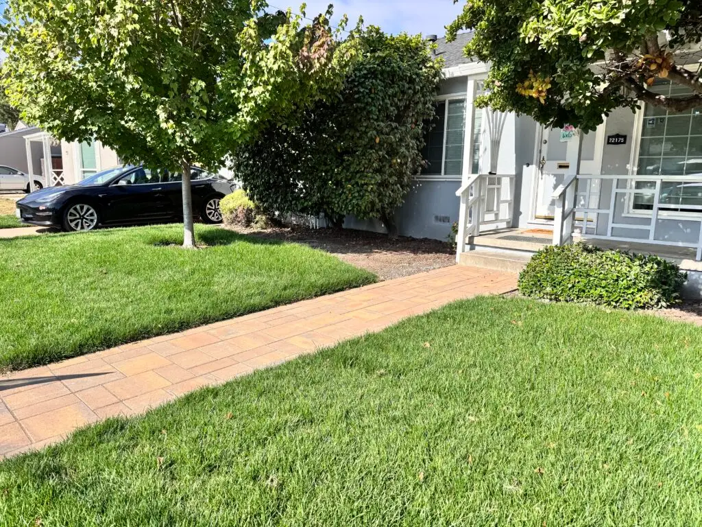 Professional Landscape Design in Hilshire Village, TX