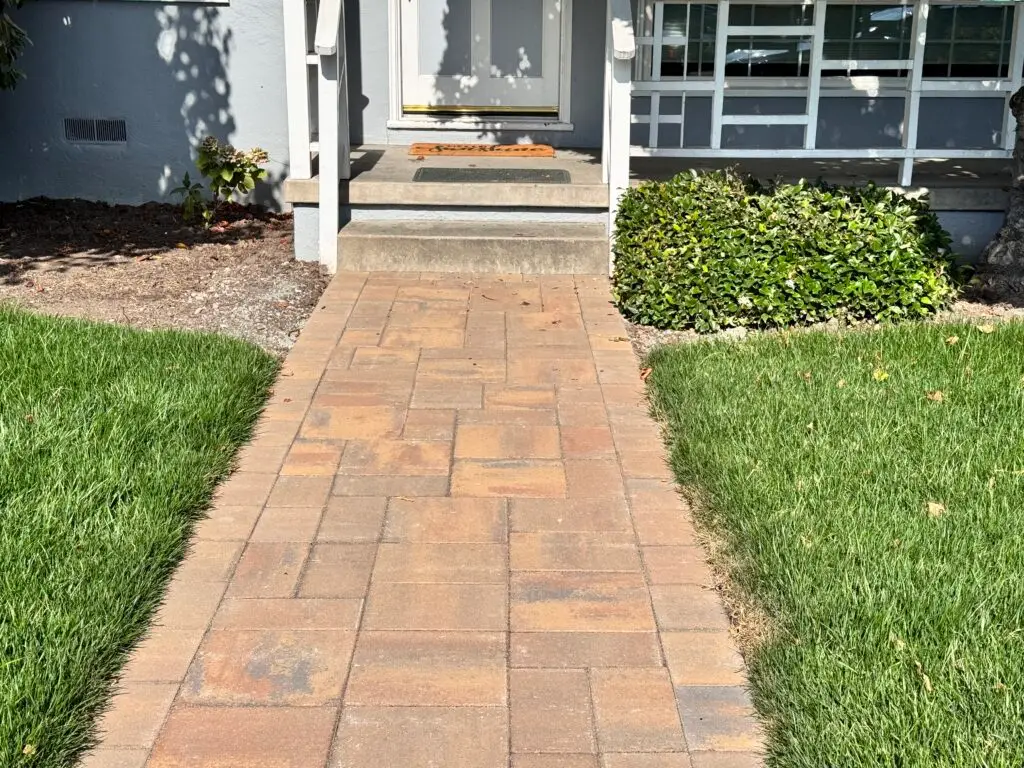 Professional Landscape Design Services in Humble, TX