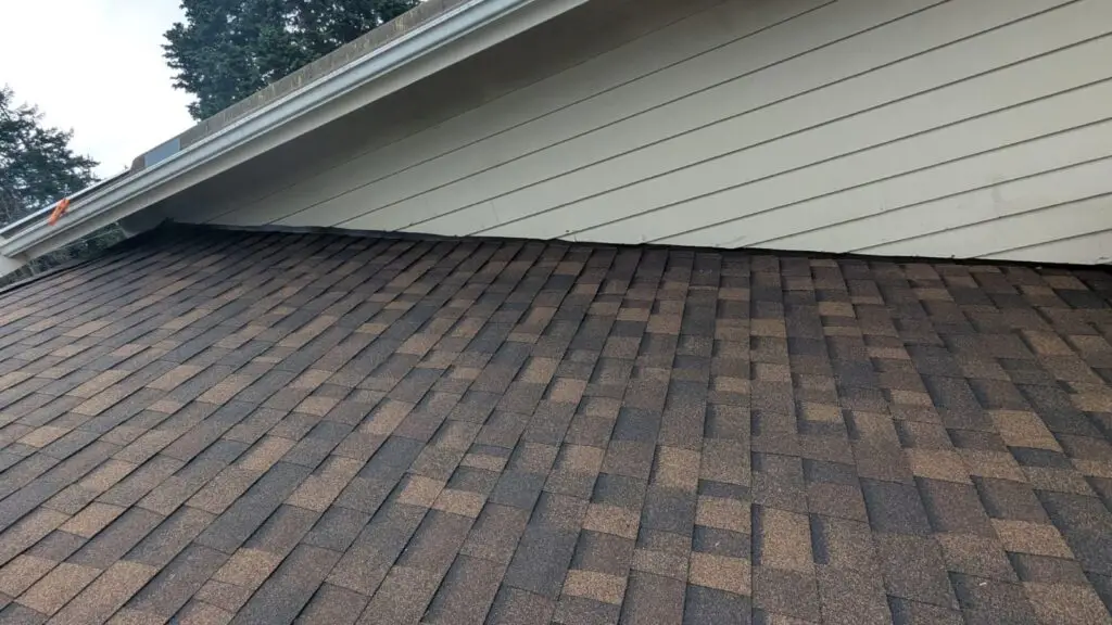 roofing-3d-design-rice-village-houston-tx.jpg