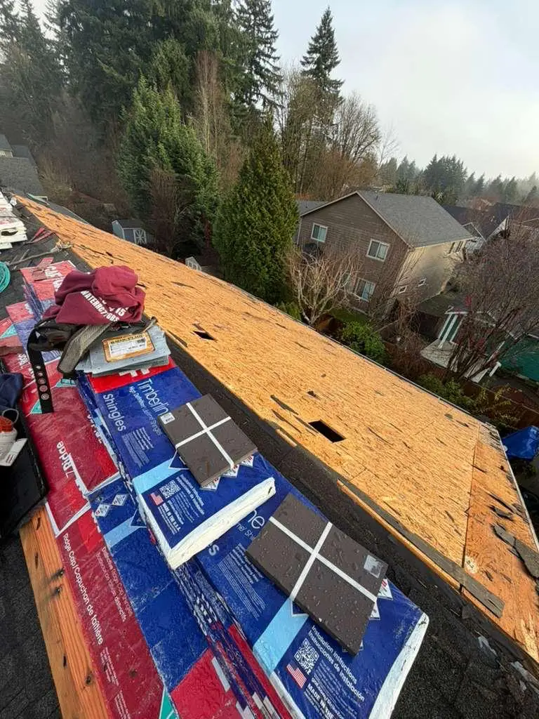 Professional Roofing Services in Beach City, TX