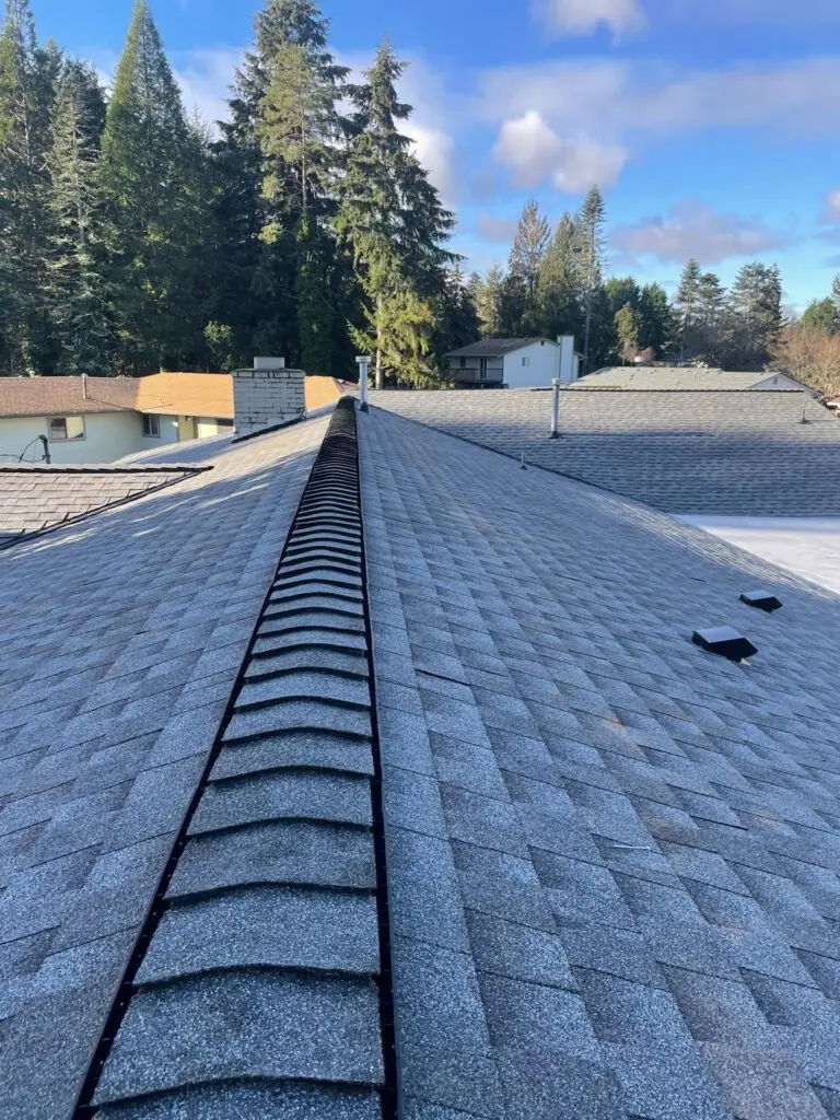 Professional Roofing Services in Liverpool, TX